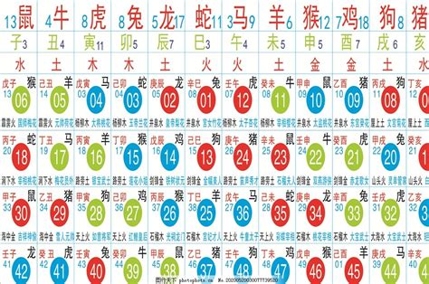 24年生肖|2024年生肖表完整版图 2024年生肖表完整版图片